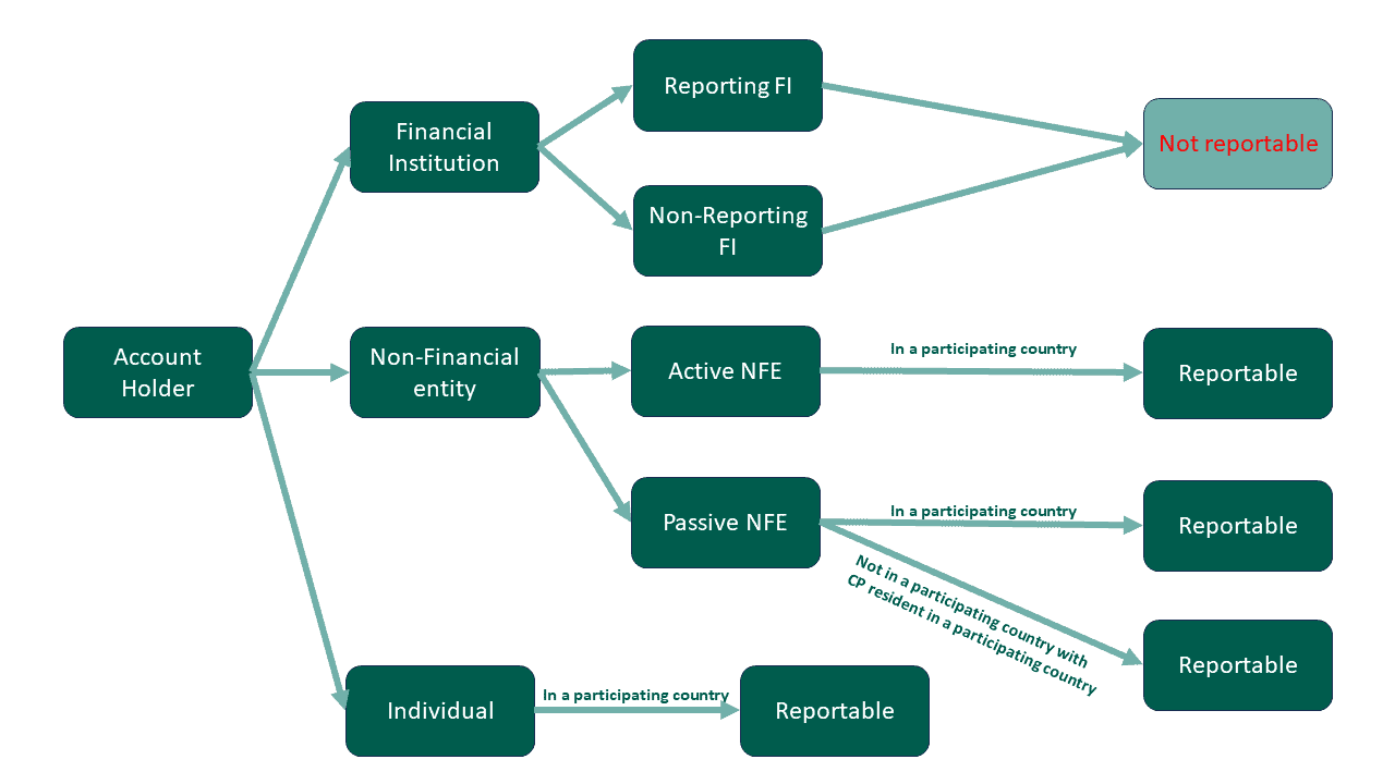 CRS account holder flow chart