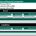 BCL reporting S2.17 financial companies XML